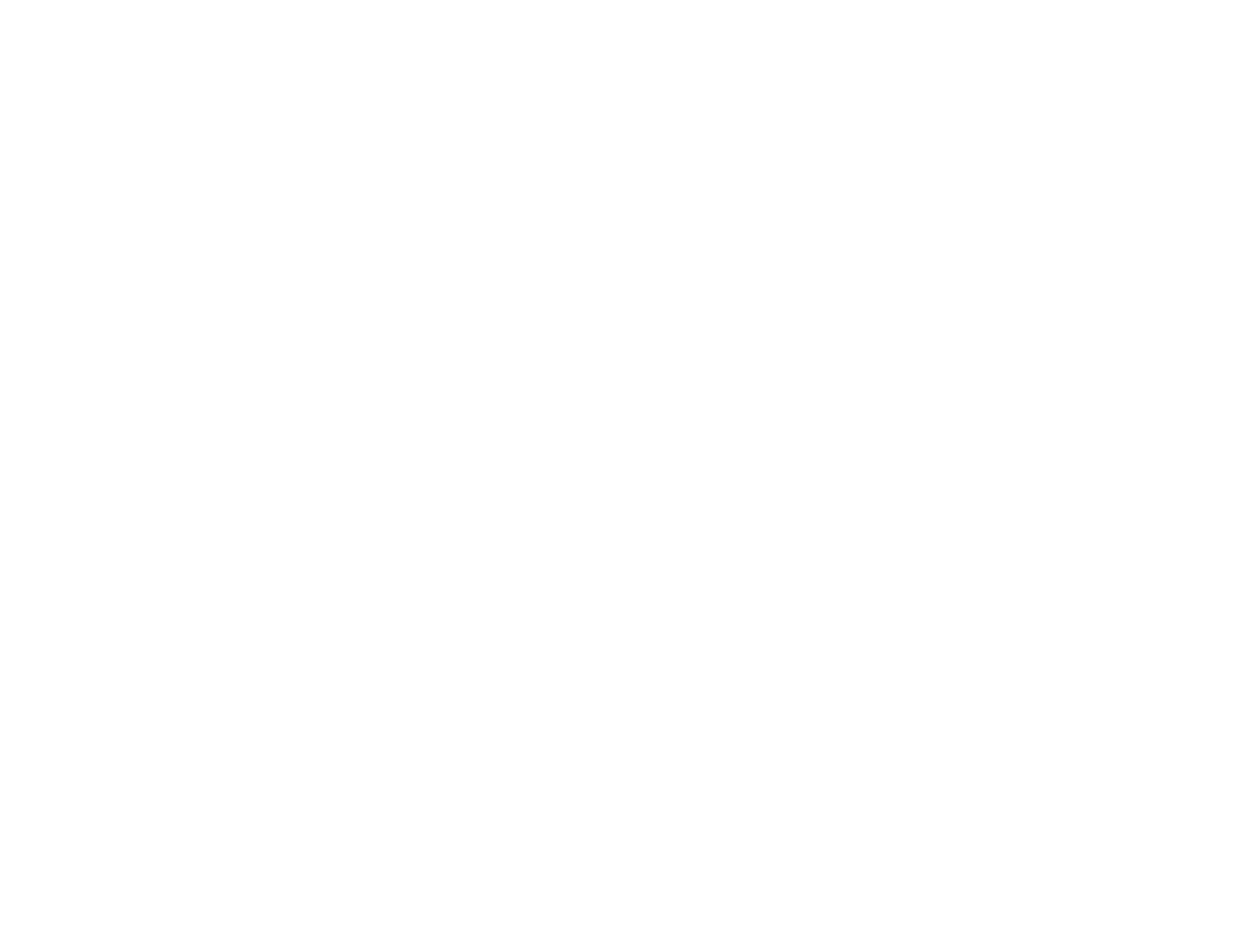Performance Institute